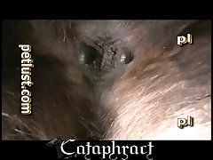 Sexy Porn Tube