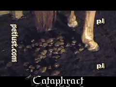 Underground Porn Videos