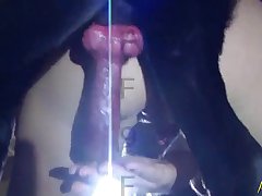 Porn Horse Fucking Girl