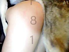 Dog Eating Cum Porn