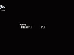 Thicc Dog Porn
