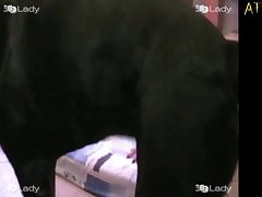 Girl Suck Horse Porn