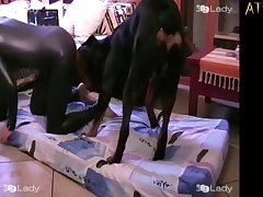 Girl Suck Horse Porn
