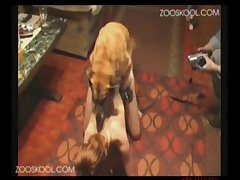 Huge Dog Fucks Girl Porn