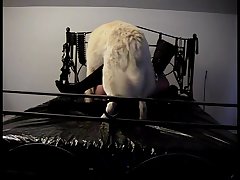 Stray Dog Fiance Porn