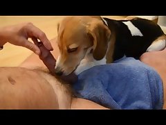 Masturbating A Horse Porn