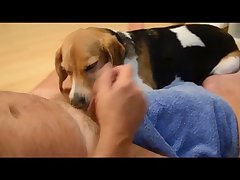 Masturbating A Horse Porn