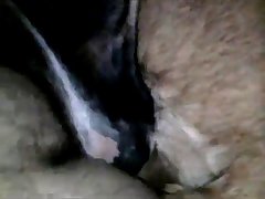Art Of Zoo Porn Free