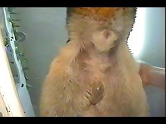 Horse Bdsm Porn