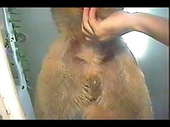 Horse Bdsm Porn