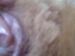 Horse Vigina Porn