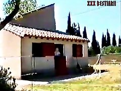 Animal Sex Pussy
