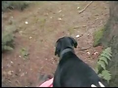 Animal Having Sex With A Woman