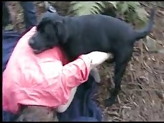 Animal Having Sex With A Woman