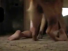 Dog Girl Tf Porn