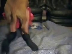 Unwanted Dog Porn