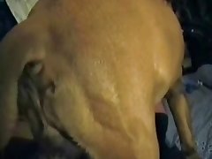 Unwanted Dog Porn