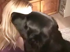 Dog Stuck Porn