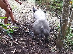 Horse Anal Vore Porn