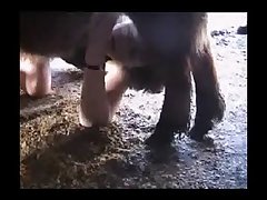 Zoo Telegram Porn