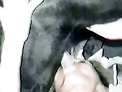 Yennefer Horse Porn