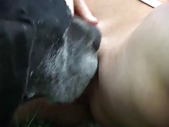 Dog Man Book Porn