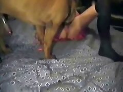 Porn Woman Fucks Dog