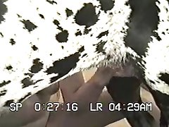 First Time Dog Lick Porn