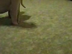 Sex Animal And Girl