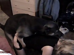 Dog Fuck Comp 2024