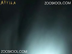 Dog Fuck Porn Gifs