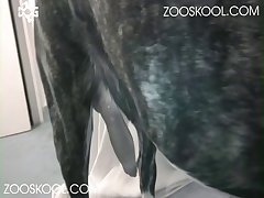 Lady Dog Fuck