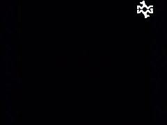 Dog Fuck Cat Gif