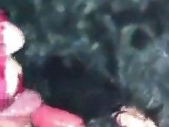 Porn Video Of Girl And Animal