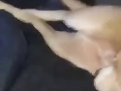 Xxx Free Animal Porn Videos
