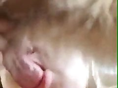 Porn Animal And Girl