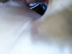 Animal Pony Porn