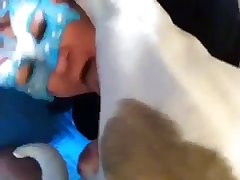 Animal Pony Porn