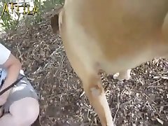 Animal Porn Xvedios