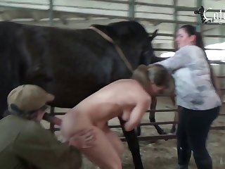 Porn With Animal