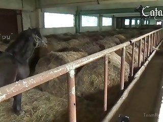 Breastfeed Animal Porn
