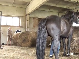 Animal With Porn Sex
