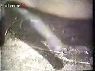 Animal Porn Caught