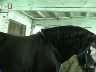 Porn Hub Sex Animal