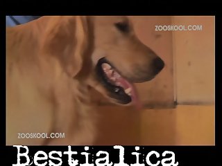 Man Fuck Animal Porn Movie