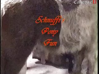 Animal Abuse Porn