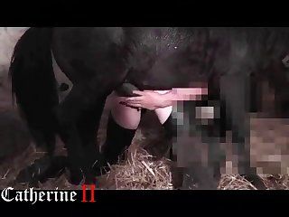 Hd Animal Porn Videos