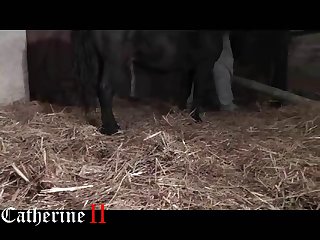 Hd Animal Porn Videos