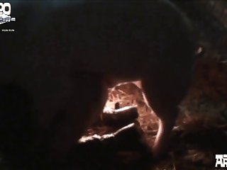 Animal Porn In Xvideo
