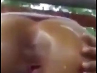 Porn Animal Sex